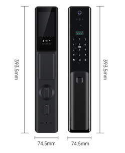 Interior Cat Eye Video Smart Security Lock 5 tipo de funciones de desbloqueo proporcionan la mayor seguridad sistema de seguridad para el hogar